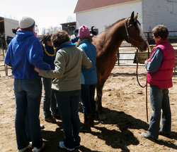 Unridled Equine Assisted Coaching, Fort Collins, CO